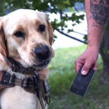 London police enlist special sniffer dog to find hidden electronic devices