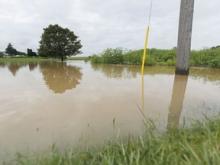 News of the day: Deluge floods streets, job market weakens and more . . .