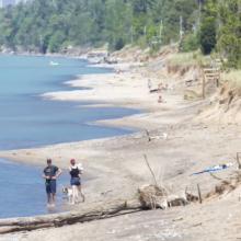 Pinery Provincial Park loses 91 campsites, nearly 200 more could go: Advocate