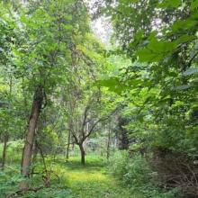 Conservancy group plans new public trail in Ionia Natural Area