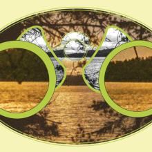 Our lakes are changing, in ways scientists didn’t expect. What’s going on under the surface?