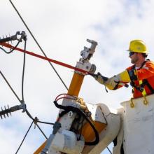 Squirrel, system failure blamed for London outage that hit 15,000