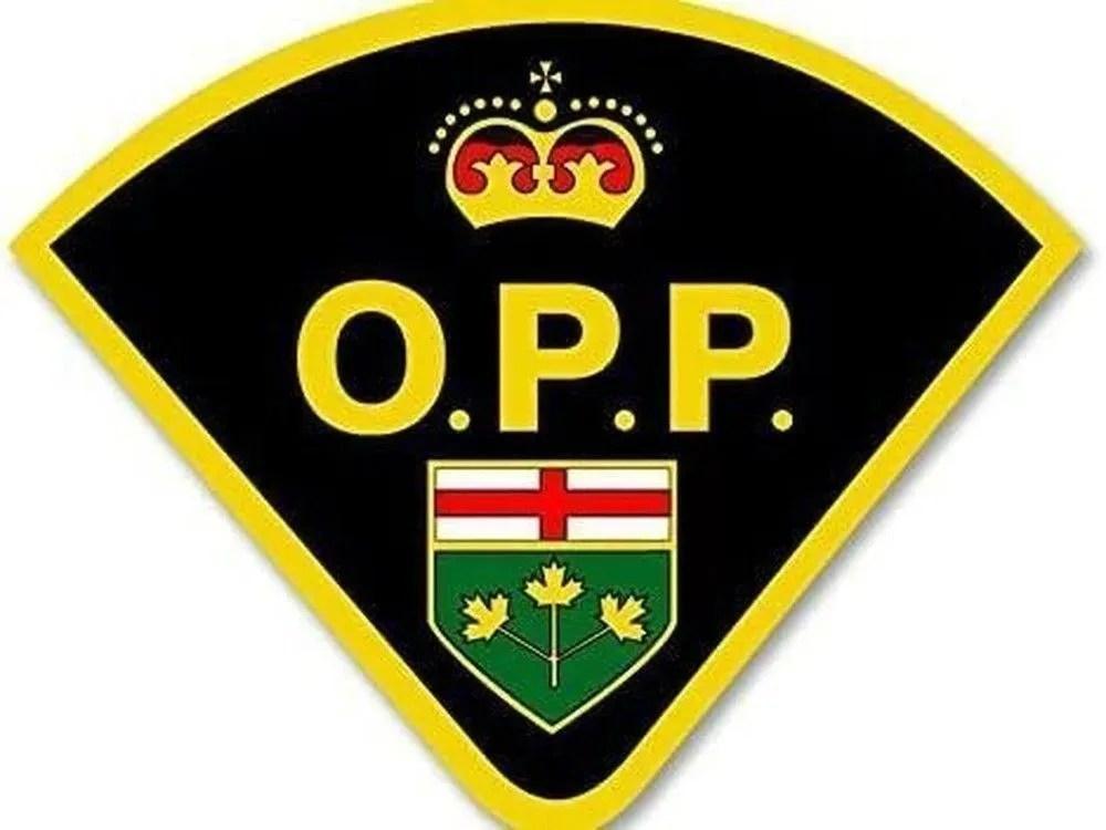 Struggle with police in Kincardine leads to assault with weapon charges