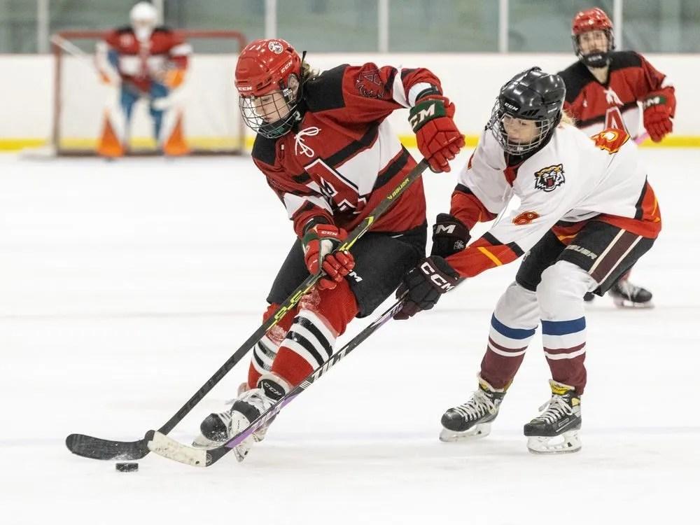 PHOTOS: St. Thomas Aquinas vs. Saunders, TVRA girls high school hockey