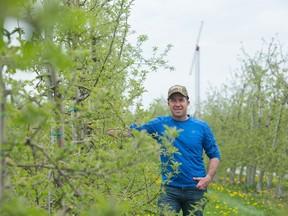 Core concern: Southwestern Ontario apple grower urges buyers to shop local Core concern: Southwestern Ontario apple grower urges buyers to shop local