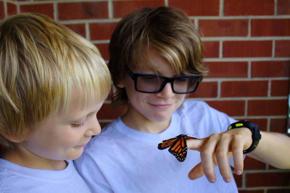 4 grants for local nature projects in Ontario cottage regions