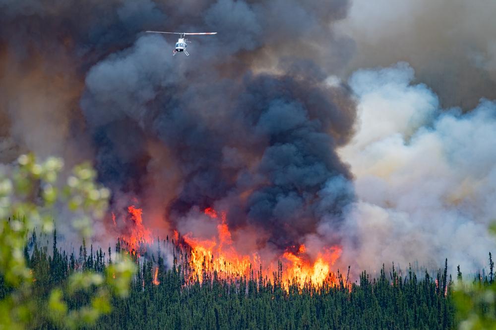 Manitoba cottagers have been forced to flee their properties as provincial wildfires rage Manitoba cottagers have been forced to flee their properties as provincial wildfires rage