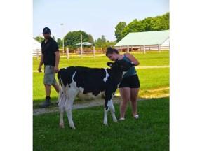 South Bruce 4-H Dairy Club takes part in showmanship clinic South Bruce 4-H Dairy Club takes part in showmanship clinic