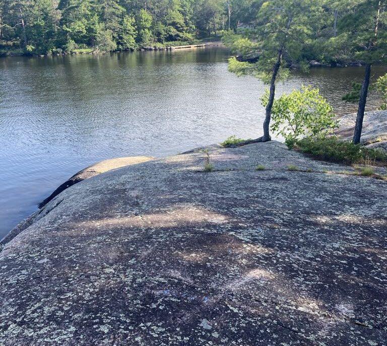 A snapshot of the real estate trends happening across Ontario’s cottage market this summer A snapshot of the real estate trends happening across Ontario’s cottage market this summer
