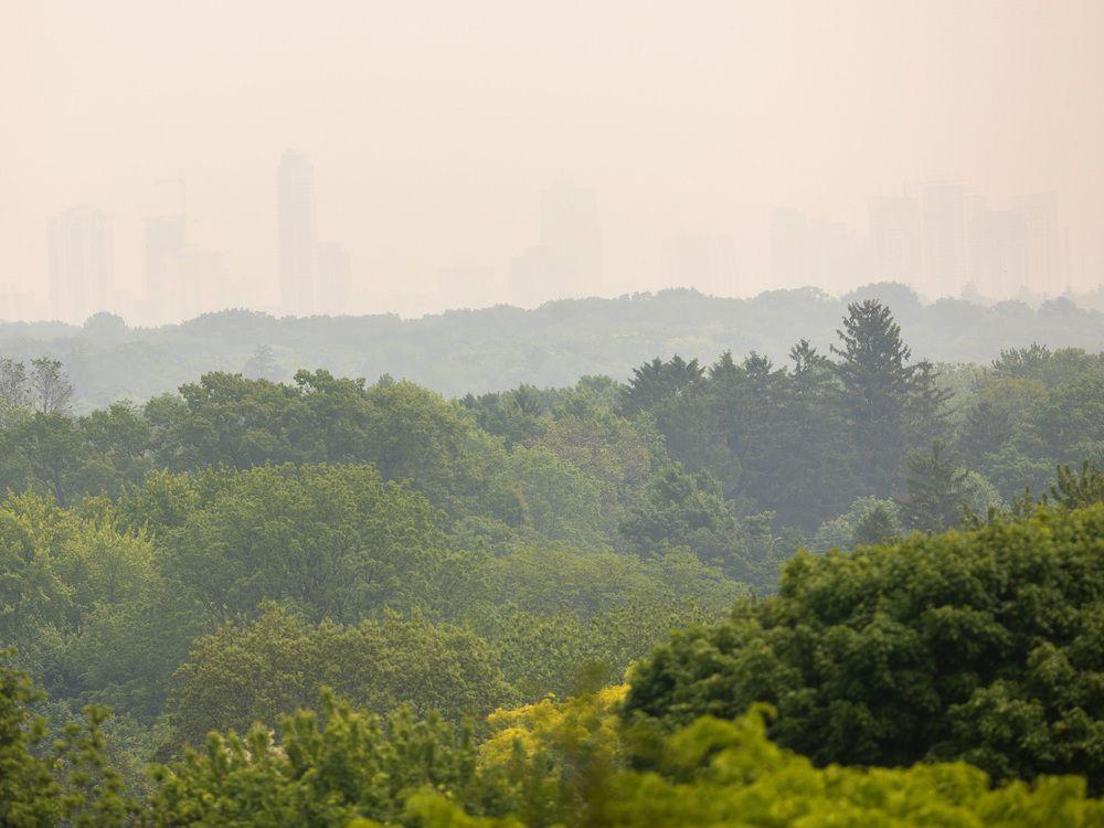 First the heat, now wildfire smoke: London under dual warnings First the heat, now wildfire smoke: London under dual warnings