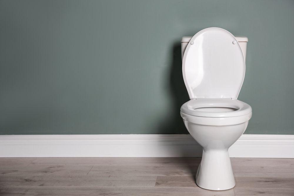 This Ontario Building Code change may mean composting toilets are no longer an option This Ontario Building Code change may mean composting toilets are no longer an option