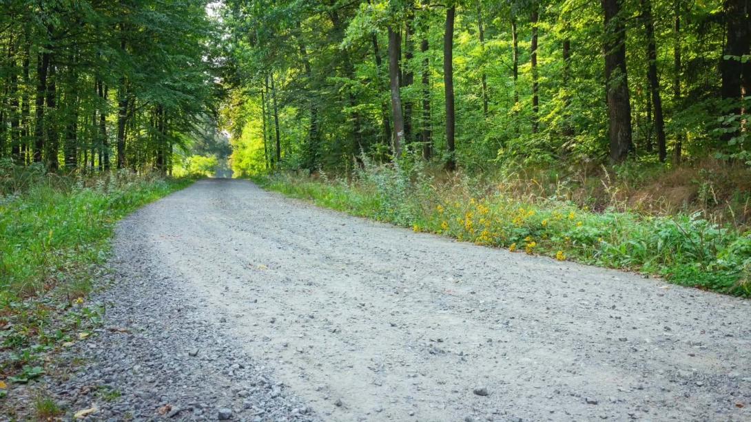 Cottage Q&A: Can the quality of my cottage road affect my property value? Cottage Q&A: Can the quality of my cottage road affect my property value?